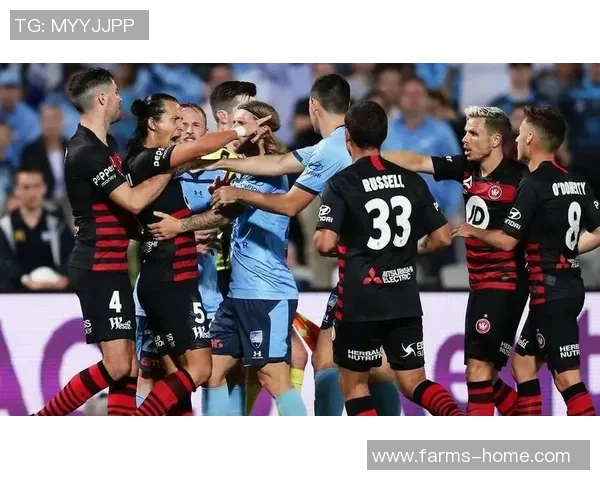 西部联与墨尔本胜利激战正酣谁能在这场对决中笑到最后