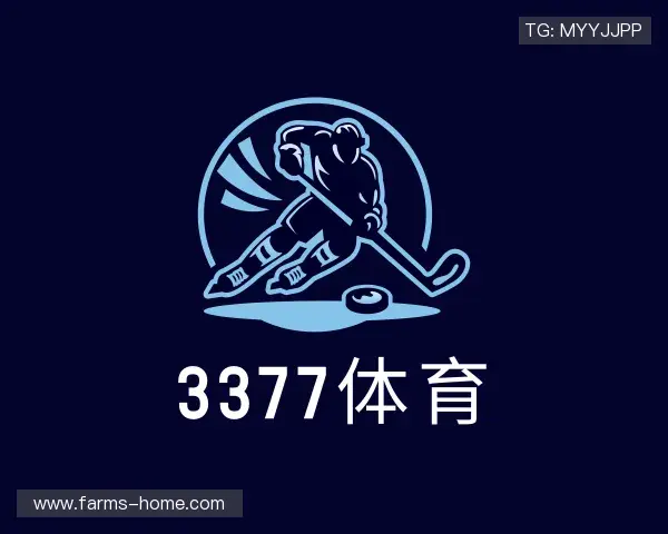 解读3377体育