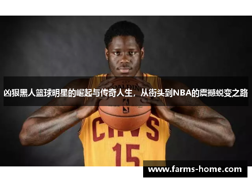 凶狠黑人篮球明星的崛起与传奇人生，从街头到NBA的震撼蜕变之路